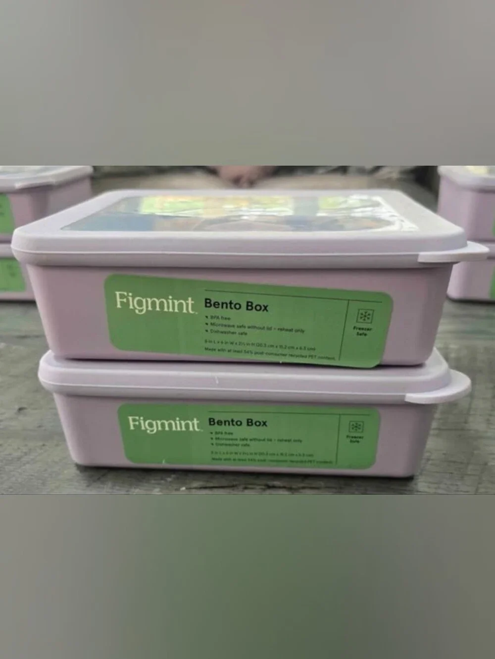 New Grayish Purple Bento Box Two-Compartment Lunch Container (Set Of 2)